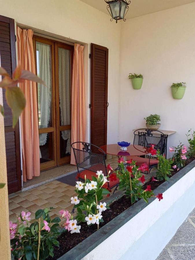 B & B Cedro Argentato Legnago Eksteriør bilde