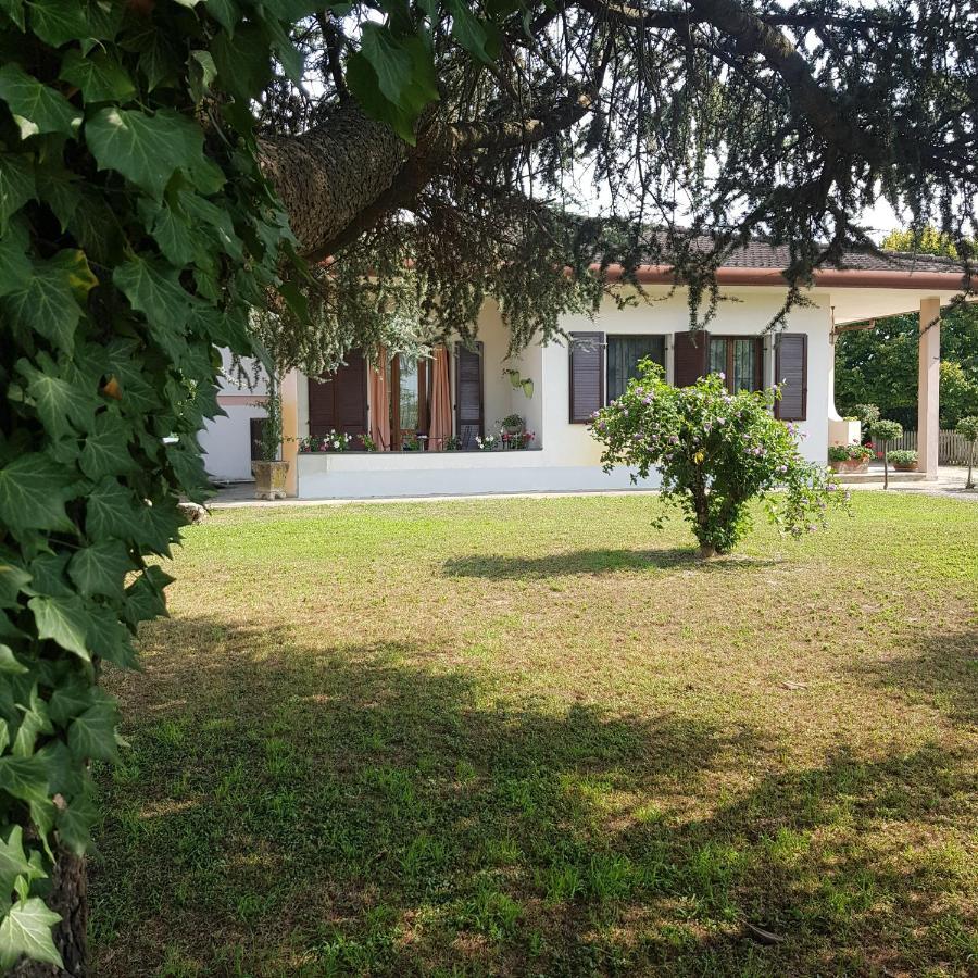 B & B Cedro Argentato Legnago Eksteriør bilde